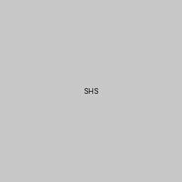 Shoeburyness High School logo
